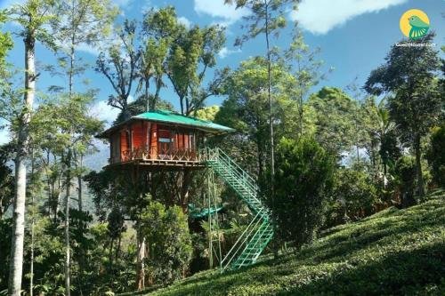 munnar