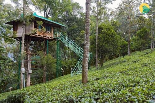 munnar