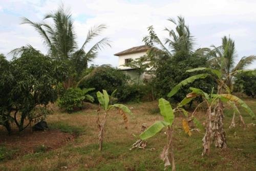 kumta