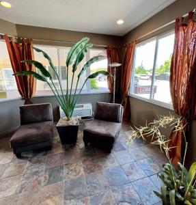 court plaza inn and suites
