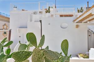 relais corte palmieri