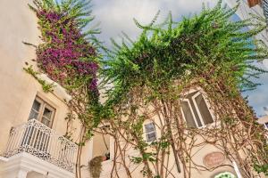 relais corte palmieri