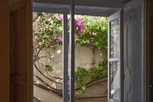 relais corte palmieri