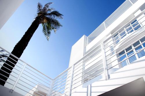 ah premium isola di pazze