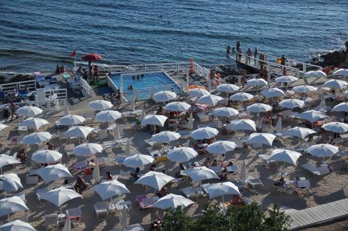 ah premium isola di pazze