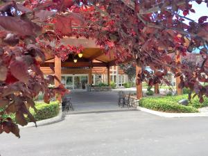 river lodge and grill