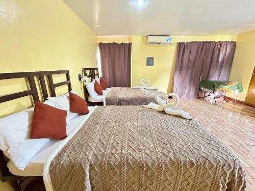 elegance guesthouse
