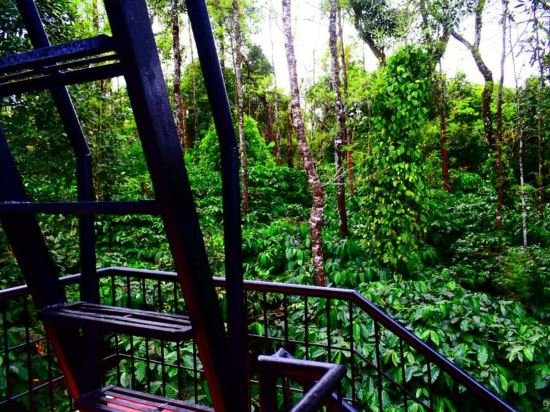 Barike Estate Stay,Kodagu>>Kakabe,3 star