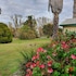 mcnevins tamworth motel