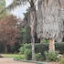 mcnevins tamworth motel