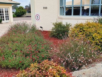 mcnevins tamworth motel