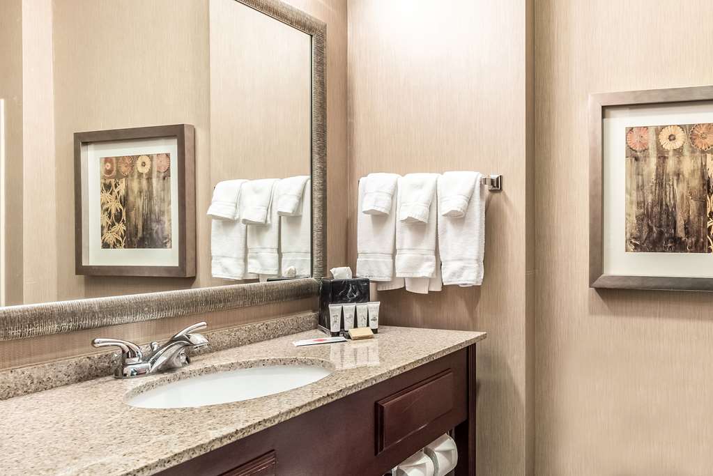 red lion inn and suites mineral wells