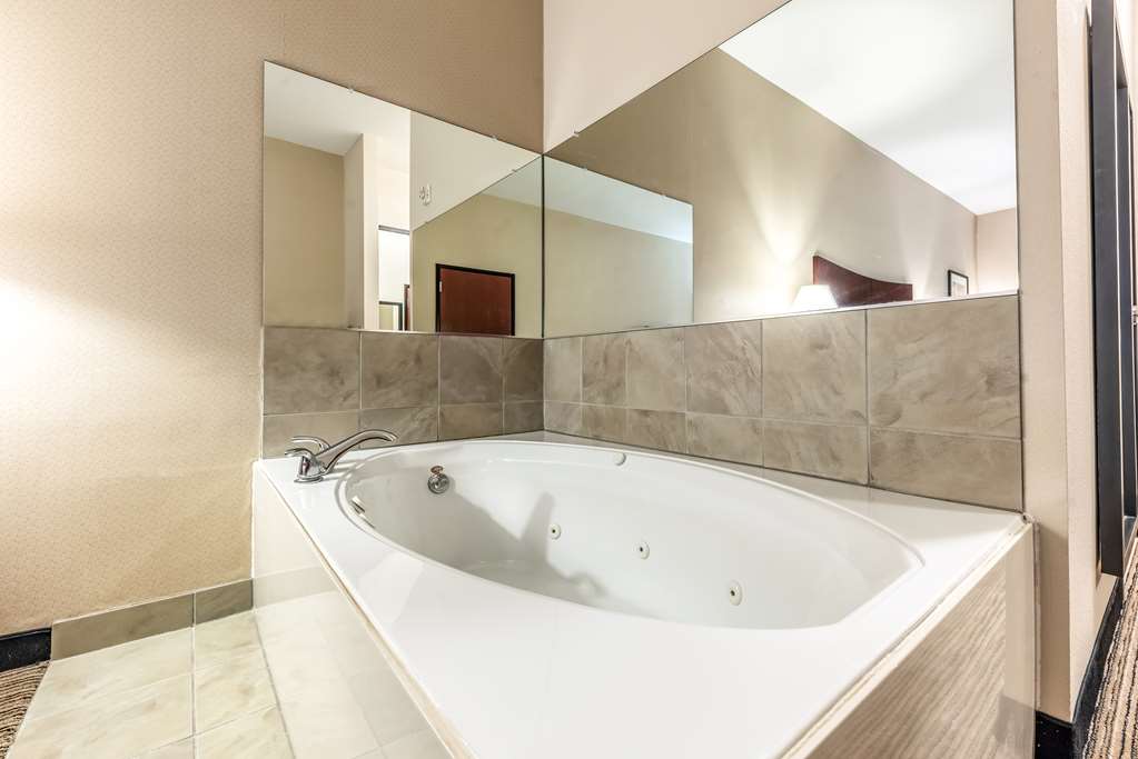 red lion inn and suites mineral wells