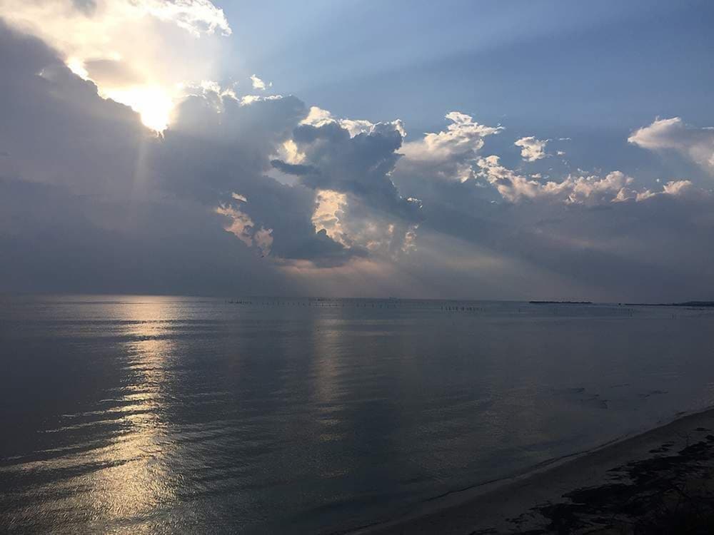 the baywood bed and breakfast