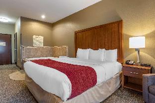 comfort inn and suites russellville i 40