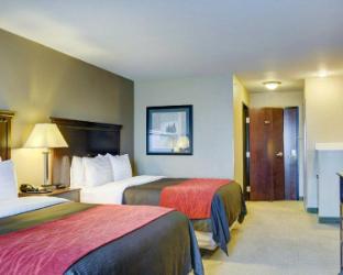 comfort inn and suites russellville i 40