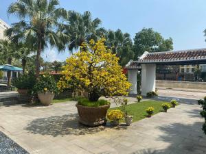 thanh binh riverside hotel