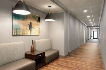 hampton inn and suites pine bluff