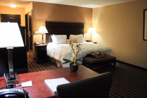 hampton inn and suites pine bluff