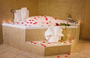 hampton inn and suites pine bluff