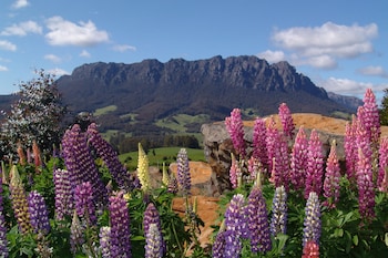 aaa granary accommodation