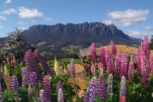 aaa granary accommodation