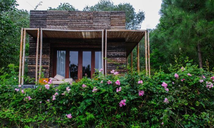 flamingo resort dai lai