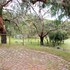 bellbrae
