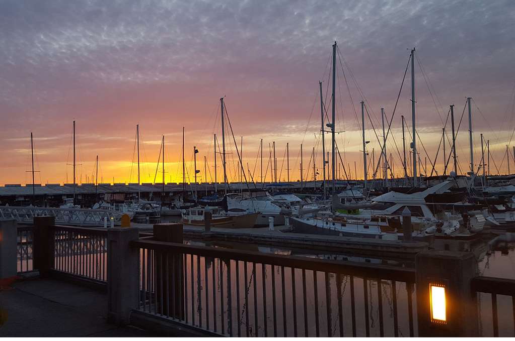 inn at port gardner everett waterfront ascend hotel collection