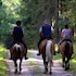 lord haldon country hotel sure hotel collection by best western