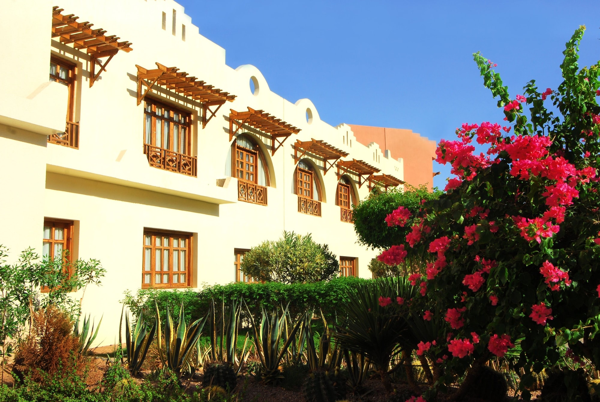 tropitel dahab oasis resort