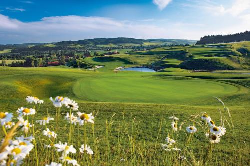 best western aparthotel birnbachhoehe