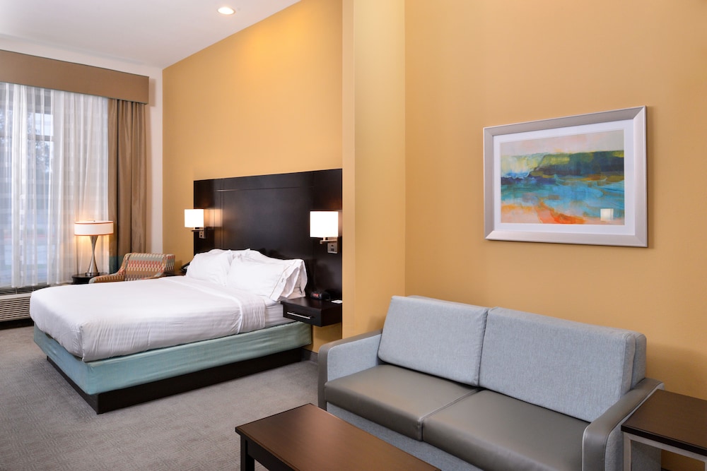 holiday inn express and suites austin south by ihg