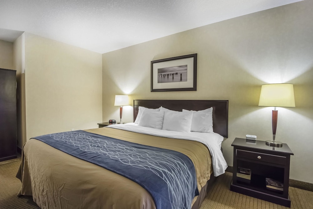 comfort inn and suites edson