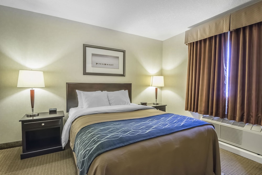 comfort inn and suites edson