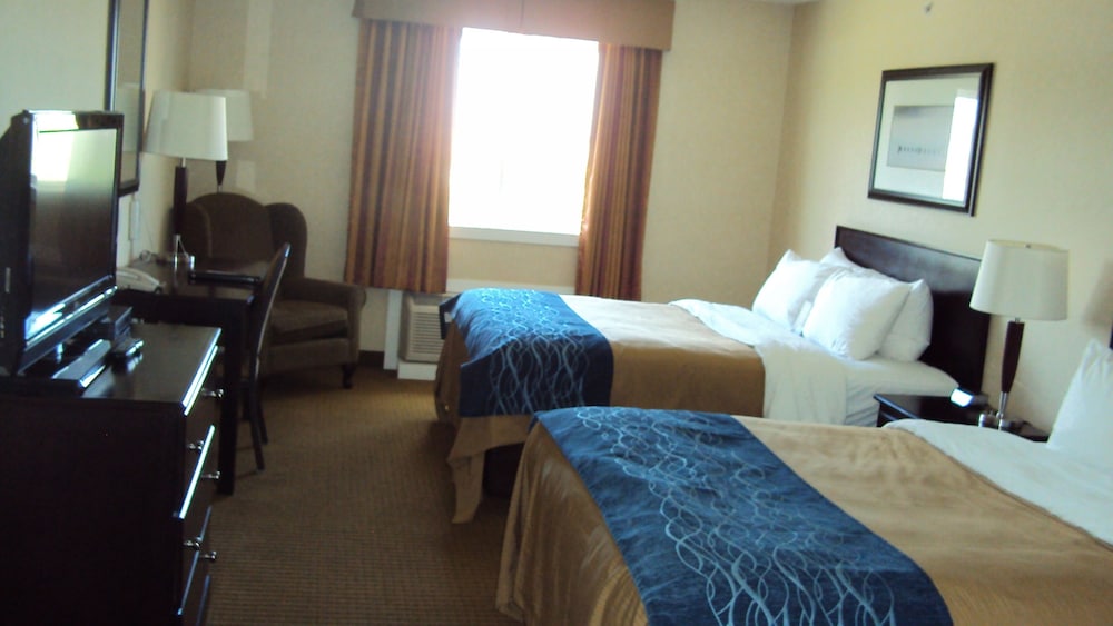comfort inn and suites edson