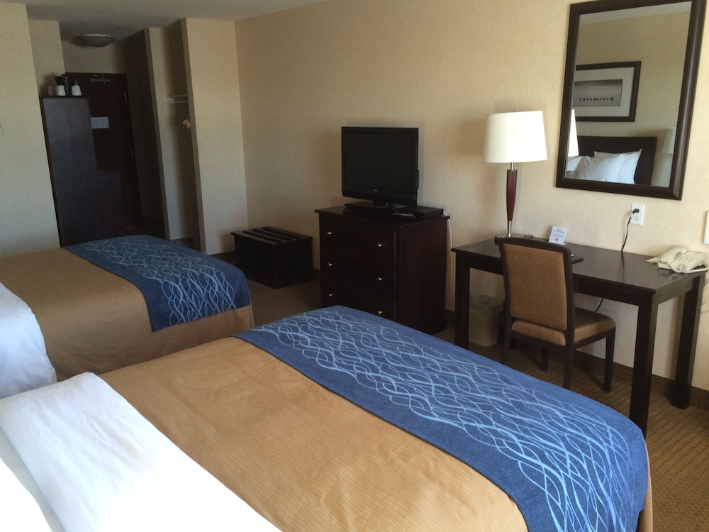 comfort inn and suites edson