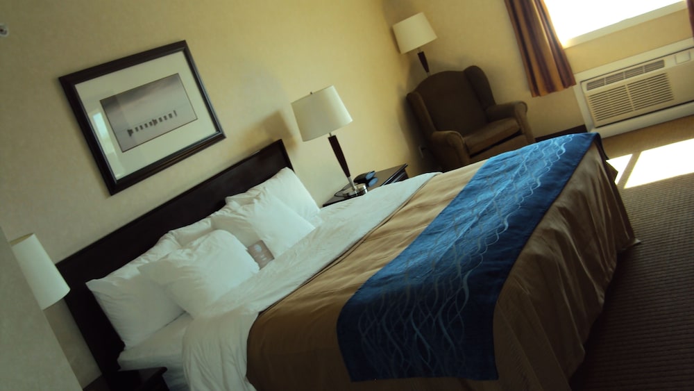 comfort inn and suites edson