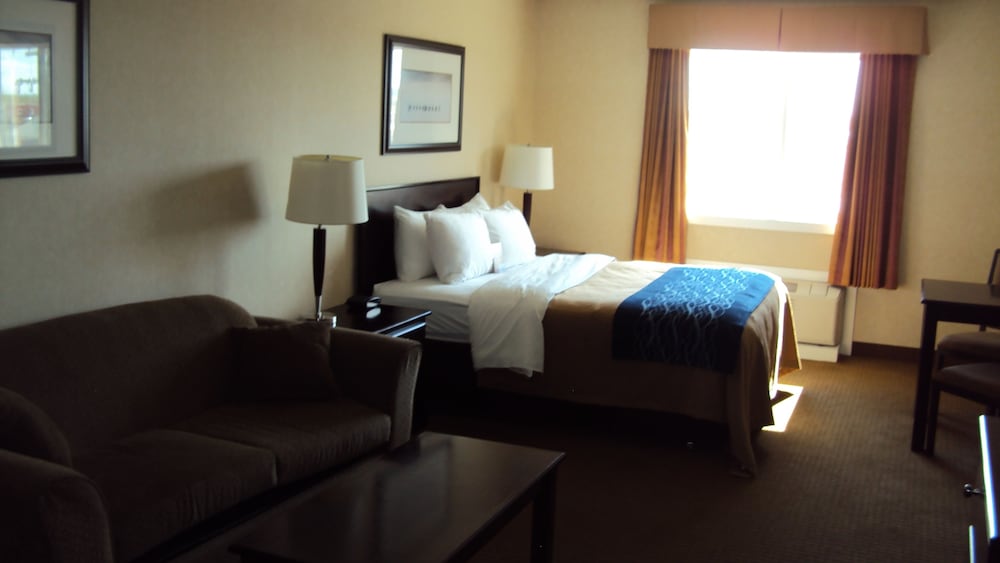 comfort inn and suites edson