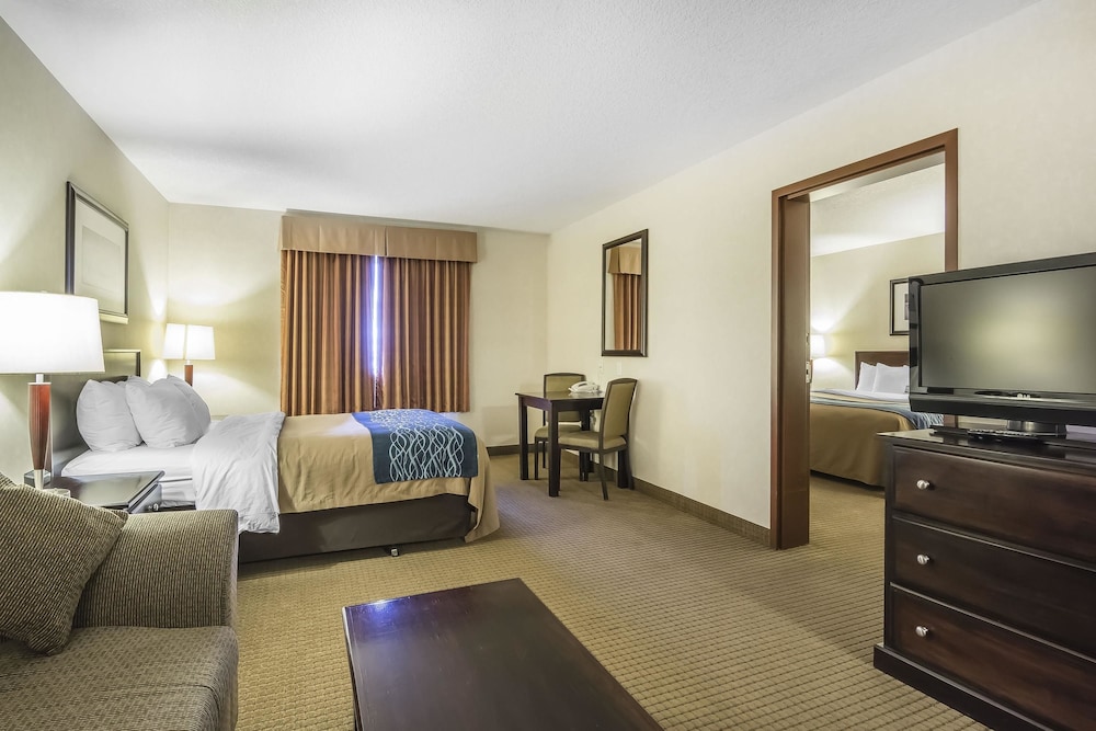 comfort inn and suites edson