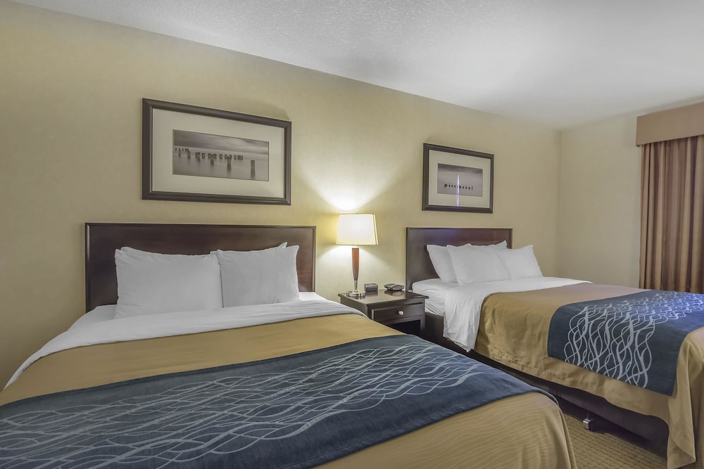 comfort inn and suites edson
