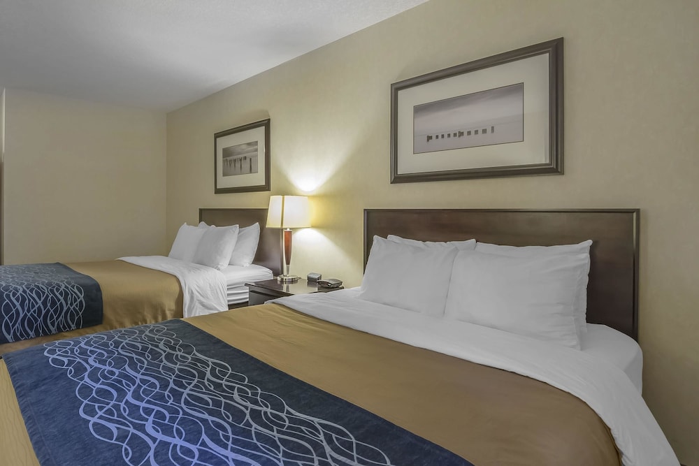 comfort inn and suites edson