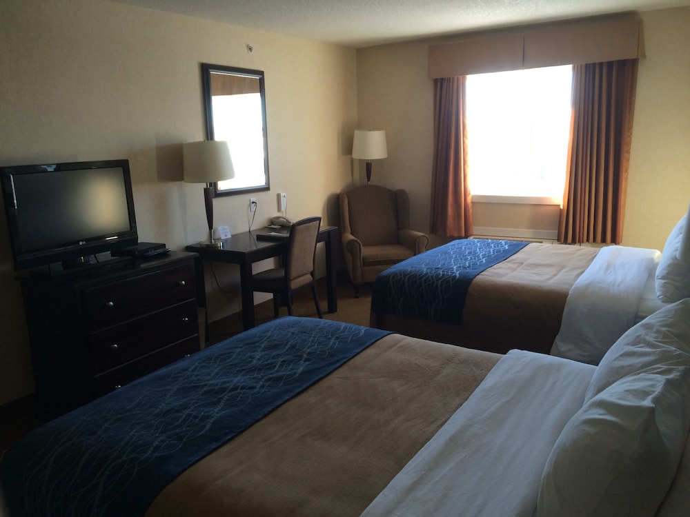 comfort inn and suites edson