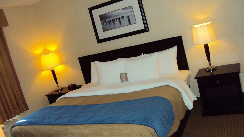 comfort inn and suites edson