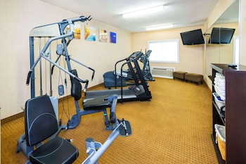 comfort inn and suites edson