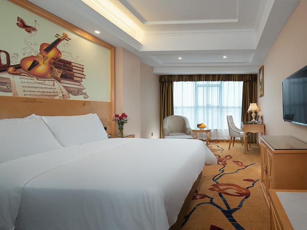 vienna hotel guangdong dongguan dongkeng wenge