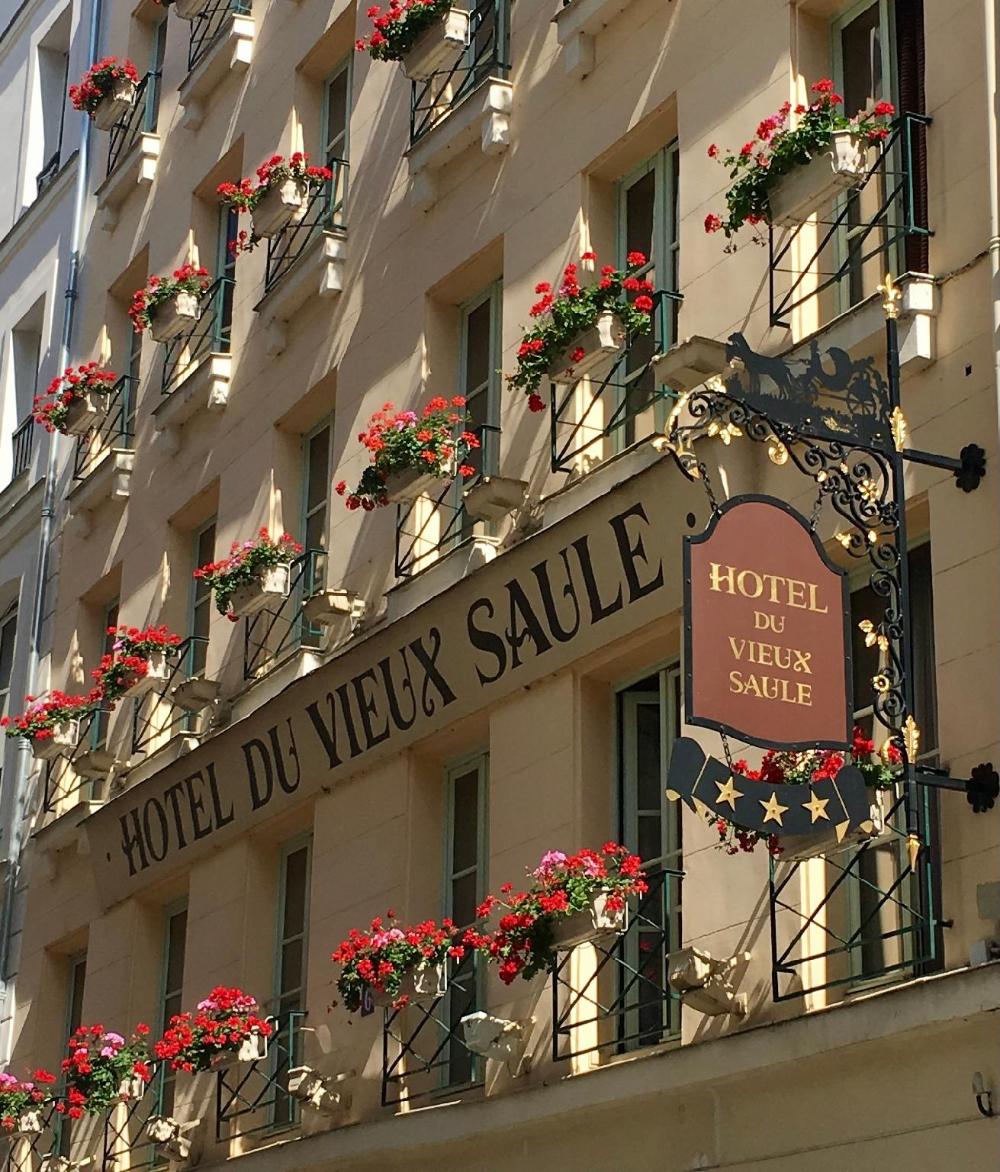 hotel du vieux saule