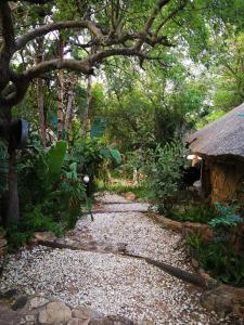 mali mali safari lodge