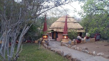 mali mali safari lodge