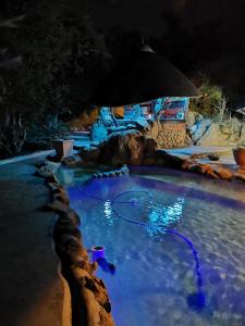 mali mali safari lodge